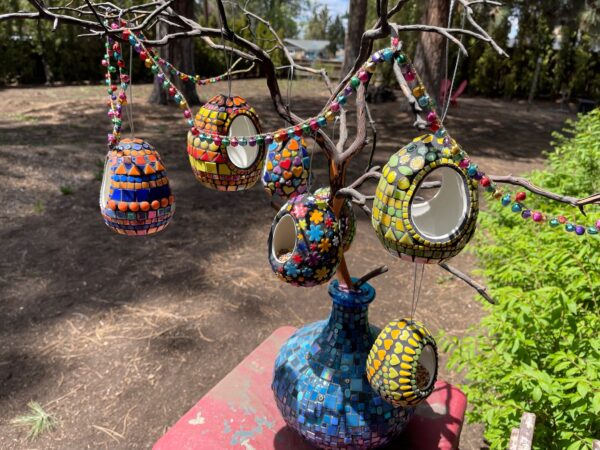 Bird Feeders