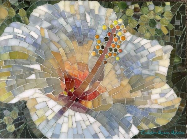 White Hibiscus (SOLD)