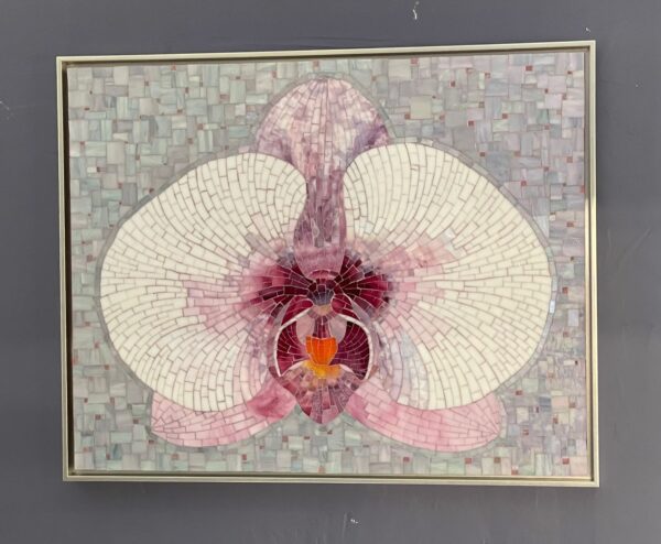 White Orchid